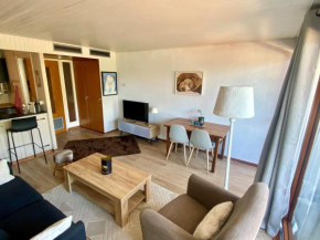 Charmant studio à Châtel - 4 pers, balcon sud-ouest, proche télécabine et centre du village - FR-1-198-242
